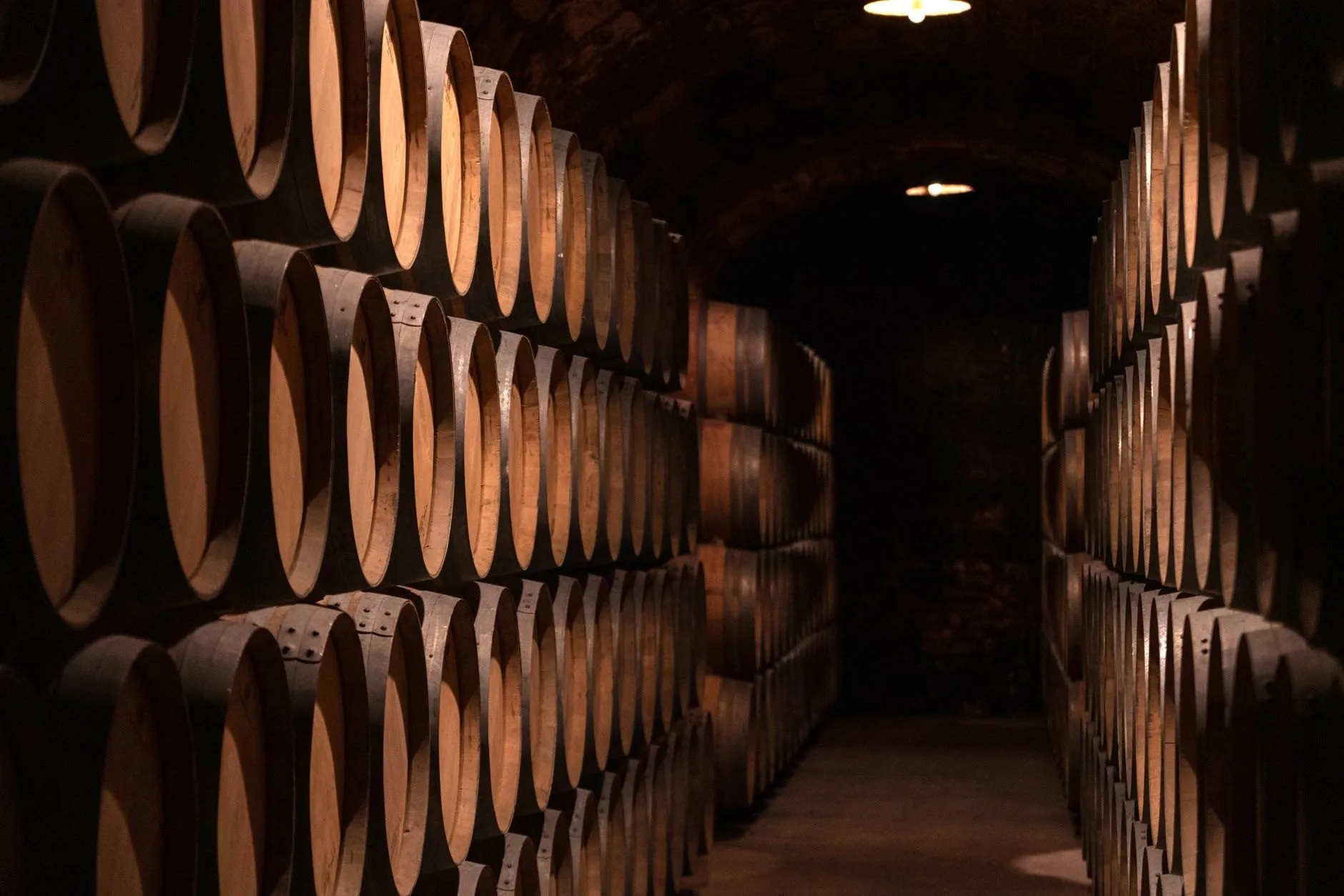 A long tunnel of oak barrels stacked three high in the estate cellar