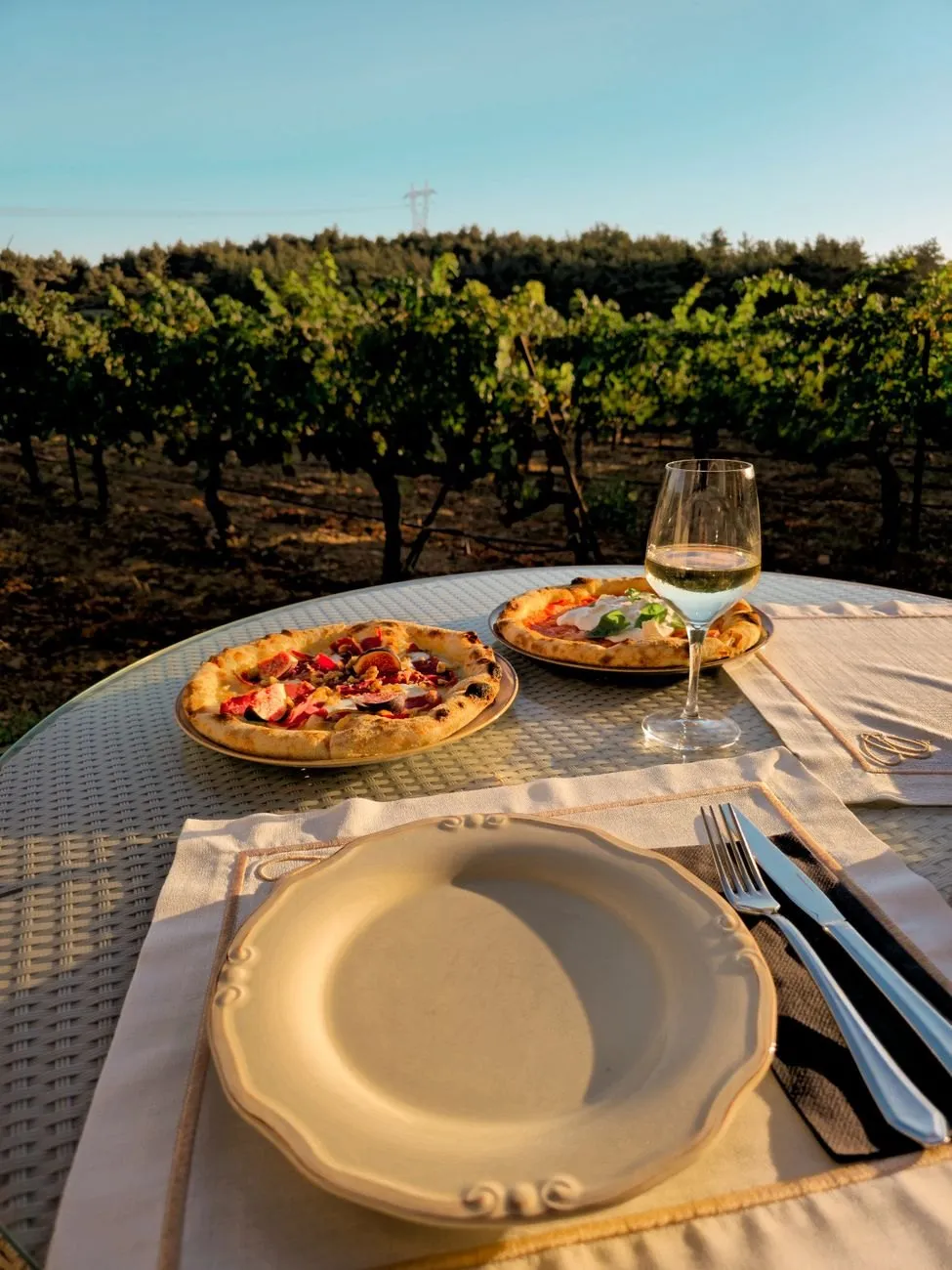Lunch laid on a table at the end of a vine row, with a glass of white wine